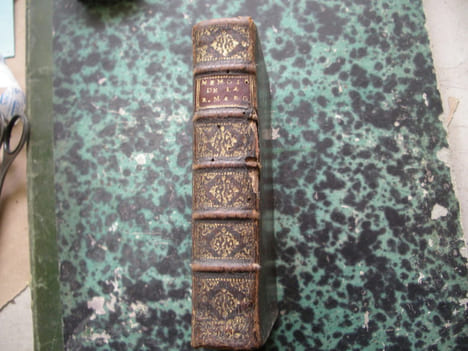 Mémoires de Marguerite de Valois, Reine de France et de Navarre ausquels on a ajouté son Eloge, celui de Mr de Bussy, & la Fortune de la Cour.. ...