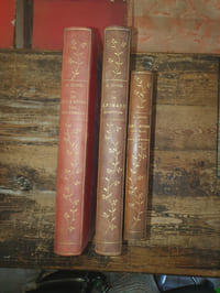 3 titres: les animaux excentriques, les arts et métiers chez les animaux, les bêtes chez elles et dans le monde,