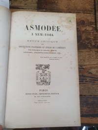 Asmodée à New-York,revue critique des institutions politique et civiles de l'Amérique, vie publique et privée, moeurs, coutumes, anecdotes romanesques, etc.