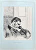 Mus&eacute;es des Souverains. Reproductions photographiques de croquis dessin&eacute;s d'apr&egrave;s nature &agrave; l'Assembl&eacute;e Nationale.. BUISSON (Jules), Adolphe BRAUN.