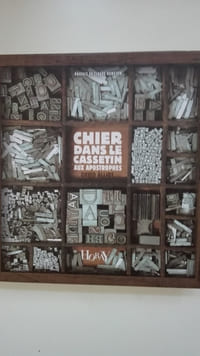 Chier dans le cassetin aux apostrophes... et autres trésors du vert langage des enfants de Gutenberg