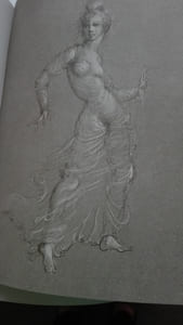 Fêtes secrètes. Dessins