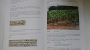 Etude de toponymie régionale-Origine, signification et histoire des noms de lieux de Cannes & du bassin cannois. VOULAND Pierre