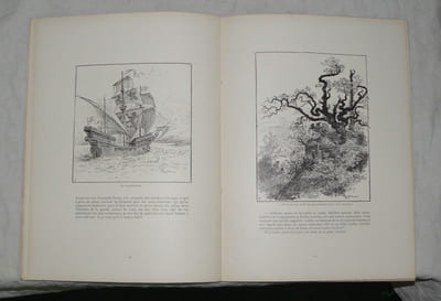 La Plante Enchantée.