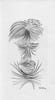 Les Origines de la statuaire de Chine.. SEGALEN (Victor) 
