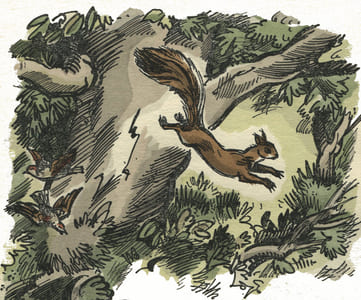 De Goupil à Margot.