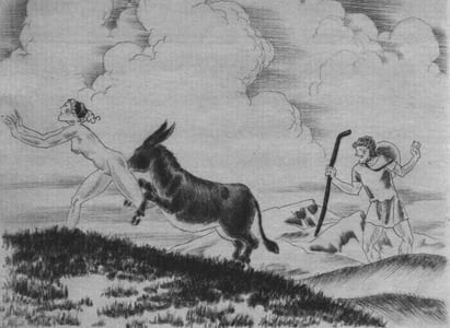 La Luciade ou L'Ane.