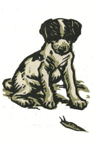 Le Roman de Miraut. Chien de Chasse.