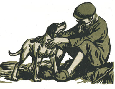 Le Roman de Miraut. Chien de Chasse.