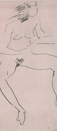 Le Sexe de la Femme.