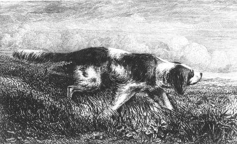 Manuel du Chasseur au Chien d'Arret.. CUREL (Léonce de) :