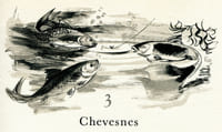 La Boîte à Pêche.