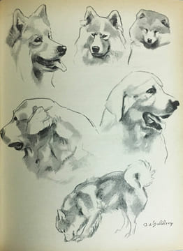 Le Chien, ses Origines, son Evolution.. OBERTHUR (J.) :