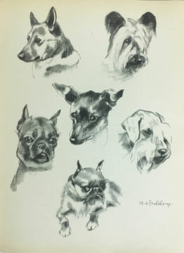 Le Chien, ses Origines, son Evolution.. OBERTHUR (J.) :