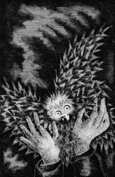 L'aveugle Clairvoyant.. BRUCKBERGER (Raymond-Léopold) :
