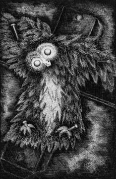 L'aveugle Clairvoyant.. BRUCKBERGER (Raymond-Léopold) :