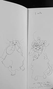 Histoire de Vibrissa.. [FINI (Leonor)] :