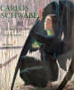 Carlos Schwabe Symboliste et Visionnaire..  [SCHWABE (Carlos)] JUMEAU-LAFOND (Jean David) :