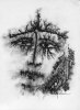 Sylvius.. BOSCO (Henri) :
