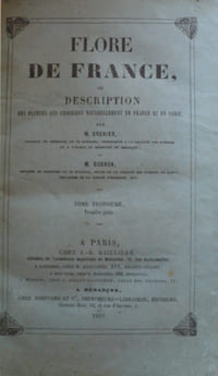 Flore de France ou description des plantes qui croissent naturellement en France et en Corse