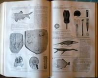 Dictionnaire général des Sciences, Mathématiques, Physique-Chimie, Technologie-Mécanique, Ethnologie, Histoire Naturelle, Médecine-Agriculture