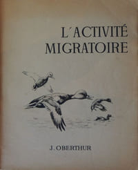 L'activité migratoire