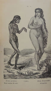 Histoire naturelle de l'homme et de la femme depuis leur apparition sur le globe terrestre jusqu'à nos jours. Race humaine primitive, ses métamorphoses en races-types et variétés de races, suivie de l'Histoire des monstruosités humaines. Anomalies organiques - Bizarreries et singularités. Explication des phénomènes les plus extraordinaires qu'offre l'économie humaine depuis la naissance jusqu'à la mort.