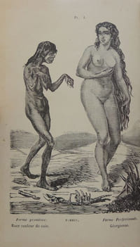 Histoire naturelle de l'homme et de la femme depuis leur apparition sur le globe terrestre jusqu'à nos jours. Race humaine primitive, ses métamorphoses en races-types et variétés de races, suivie de l'Histoire des monstruosités humaines. Anomalies organiques - Bizarreries et singularités. Explication des phénomènes les plus extraordinaires qu'offre l'économie humaine depuis la naissance jusqu'à la mort.