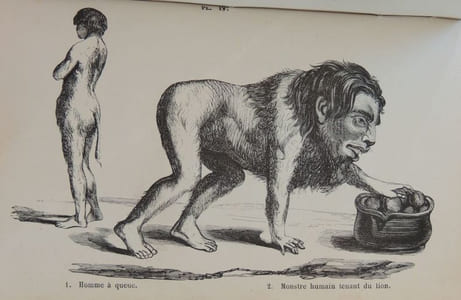 Histoire naturelle de l'homme et de la femme depuis leur apparition sur le globe terrestre jusqu'à nos jours. Race humaine primitive, ses métamorphoses en races-types et variétés de races, suivie de l'Histoire des monstruosités humaines. Anomalies organiques - Bizarreries et singularités. Explication des phénomènes les plus extraordinaires qu'offre l'économie humaine depuis la naissance jusqu'à la mort.