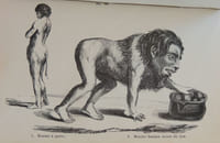 Histoire naturelle de l'homme et de la femme depuis leur apparition sur le globe terrestre jusqu'à nos jours. Race humaine primitive, ses métamorphoses en races-types et variétés de races, suivie de l'Histoire des monstruosités humaines. Anomalies organiques - Bizarreries et singularités. Explication des phénomènes les plus extraordinaires qu'offre l'économie humaine depuis la naissance jusqu'à la mort.