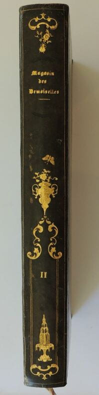 Magasin des demoiselles.  Morale, histoire ancienne et moderne, science, économie domestique, littérature, beaux-arts, voyages, biographie, petit courrier des demoiselles. 11ème année 1854-1855