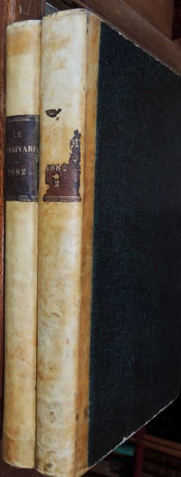 Le Charivari Année complète 1882