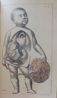 Cours complet d'accouchemens et de maladies des femmes et des enfans avec 24 planches, dont une coloriée, et 8 tableaux synoptiques. Deuxième édition revue, corrigée et augmentée