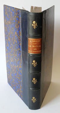 La maison des deux barbeaux (le sag des Finoël)