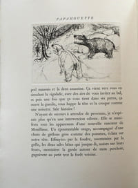 Papahouette. Avec des eaux-fortes de l'auteur