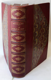Le roman du curé