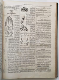 La chasse illustrée. Journal des plaisirs de la ferme et du château. 3ème Année. 1869-1870 (du N°1 du 7 Août 1869 au N° 52 du 30 juillet 1870)
