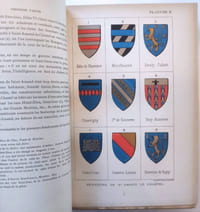 Histoire des deux villes de Saint-Amand et du château de Montrond par M. C.-N. Victor Maillard, publiée par les soins de son fils Gustave Mallard, avec une préface de M. L'abbé S. Clément