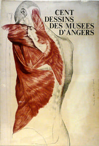 Cent dessins des musées d'Angers