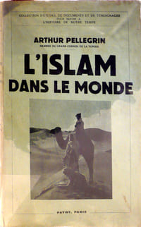 L'Islam dans le monde. Dynamisme politique, position de l'Europe et de la France