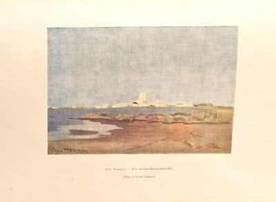 Le Taureau Camargue, son élevage, la course provençale.