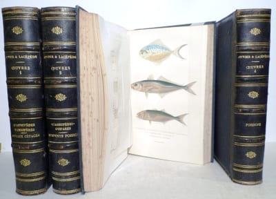 Oeuvres contenant le complément de Buffon à l'histoire des mammifères et des oiseaux, l'histoire des cétacés, batraciens serpents et poissons. Illustrés de 50 planches, environ 125 sujets coloriés avec le plus grand soin d'après le règne animal de Cuvier, édition V. Masson. Supplément aux œuvres complètes de Buffon, annotées par M. Flourens.