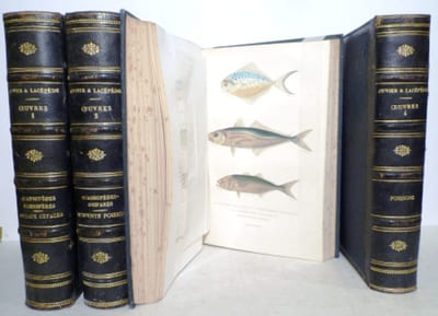 Oeuvres contenant le complément de Buffon à l'histoire des mammifères et des oiseaux, l'histoire des cétacés, batraciens serpents et poissons. Illustrés de 50 planches, environ 125 sujets coloriés avec le plus grand soin d'après le règne animal de Cuvier, édition V. Masson. Supplément aux œuvres complètes de Buffon, annotées par M. Flourens.