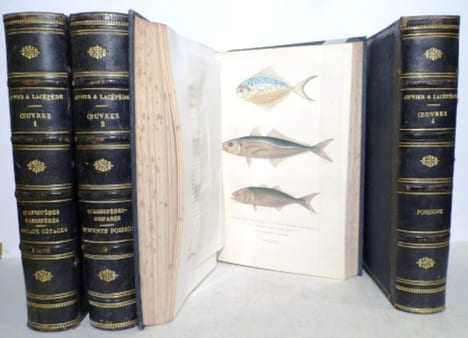 Oeuvres contenant le complément de Buffon à l'histoire des mammifères et des oiseaux, l'histoire des cétacés, batraciens serpents et poissons. ...