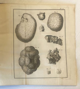 Pyritologie ou Histoire naturelle de la Pyrite, Ouvrage dans lequel on examine l'origine, la nature, les propriétés & les usages de ce Minéral ...