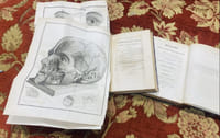 Traité des maladies des yeux. traduit de l'italien sur la cinquième et dernière édition et augmentée de notes par J.B.BOUSQUET et N.BELLANGER.