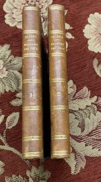 Traité des maladies des yeux. traduit de l'italien sur la cinquième et dernière édition et augmentée de notes par J.B.BOUSQUET et N.BELLANGER.