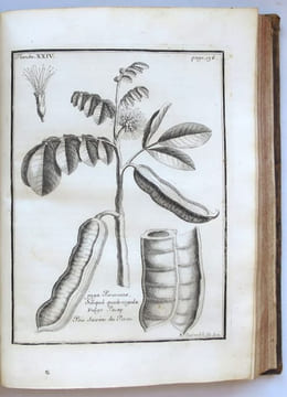 Relation du voyage de la Mer du Sud aux côtes du Chily et du Pérou, fait pendant les années 1712, 1713 & 1714.. FREZIER (Amédée François).