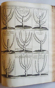 INSTRUCTION POUR LES JARDINS FRUITIERS ET POTAGERS, AVEC UN TRAITE DES ORANGERS, ET DES REFLEXIONS SUR L'AGRICULTURE.