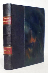 ARIEL ou la vie de Shelley.